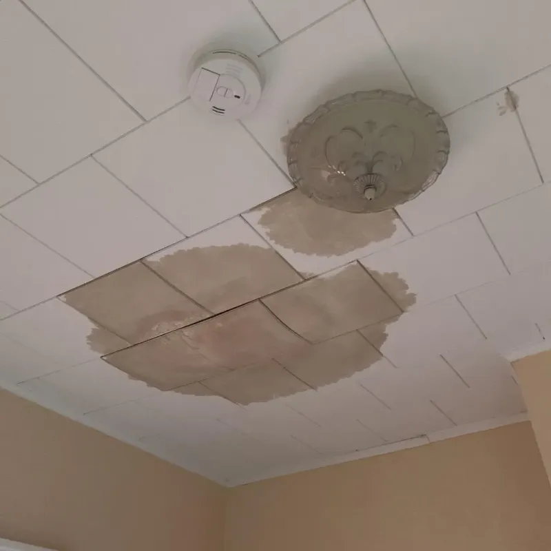 Ceiling Water Damage Repair in Head of the Harbor, NY