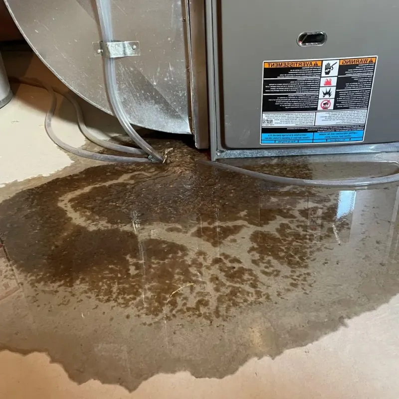 Pipe Burst and Leak Restoration in Head of the Harbor, NY